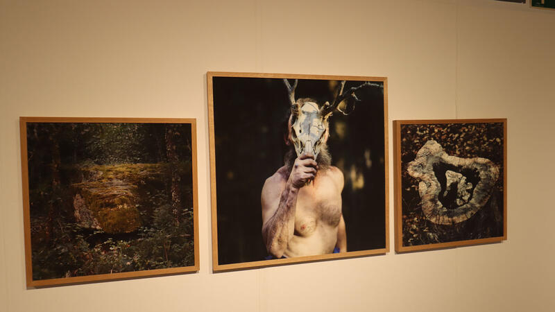 The exhibition 