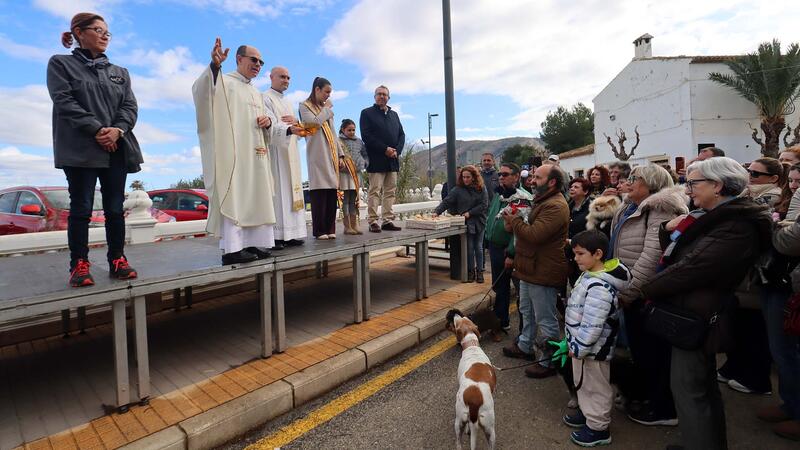 La bendición de los animales protagoniza el día grande de la Festa de Sant Antoni en Benidorm