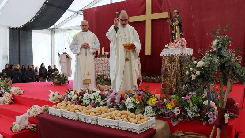 La bendición de los animales protagoniza el día grande de la Festa de Sant Antoni en Benidorm