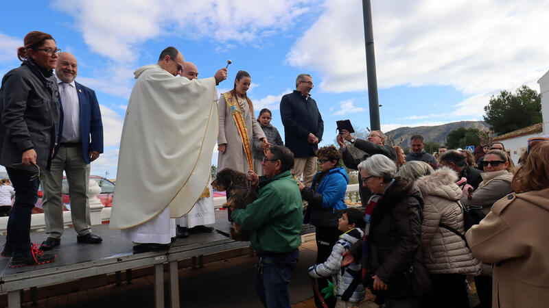 La bendición de los animales protagoniza el día grande de la Festa de Sant Antoni en Benidorm