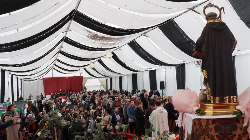 La bendición de los animales protagoniza el día grande de la Festa de Sant Antoni en Benidorm