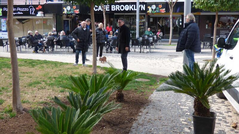 Benidorm realitza una plantació d