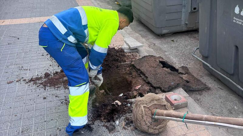 Benidorm inicia la retirada d