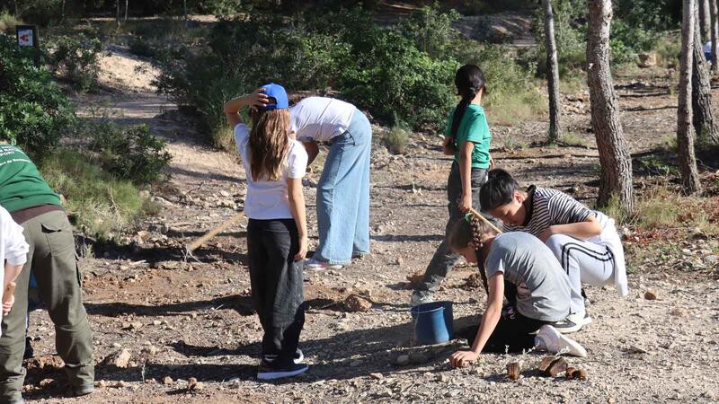 El Moralet park has planted nearly 2,500 new trees so far this year