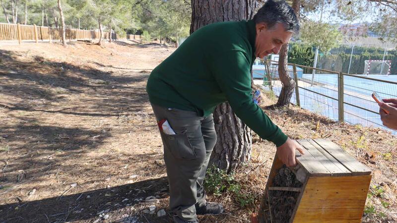 El Moralet park has planted nearly 2,500 new trees so far this year