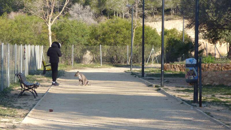 Benidorm realiza una intervención de mejora en el parque canino junto a la plaza de toros