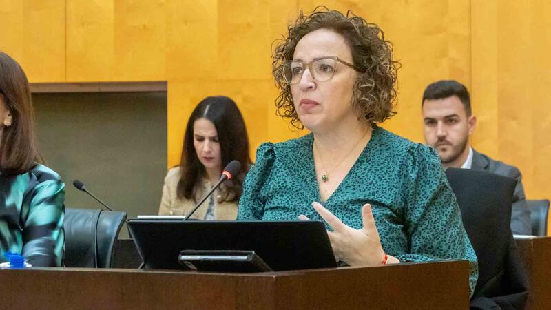 El ple aprova la proposta d