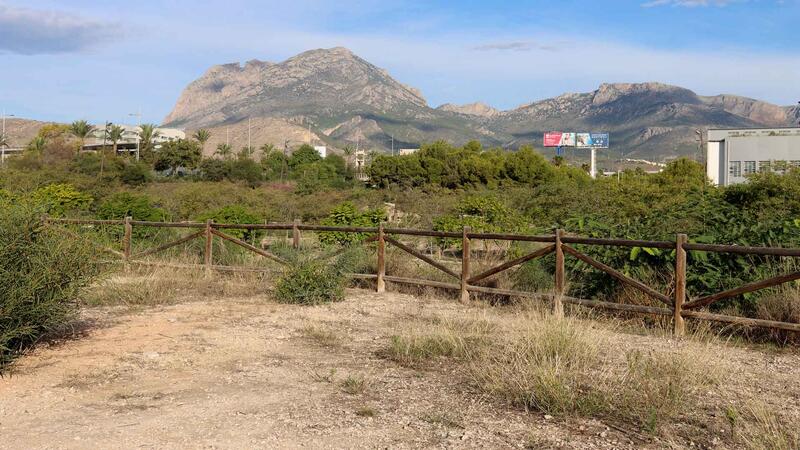 Benidorm organitza en este trimestre un ampli programa d