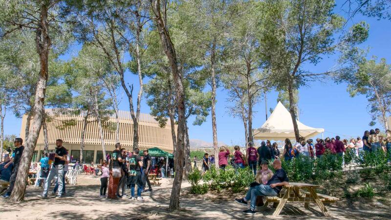 El Parc de la Séquia Mare congrega a les penyes de Benidorm per a gaudir del Dia de la Mona