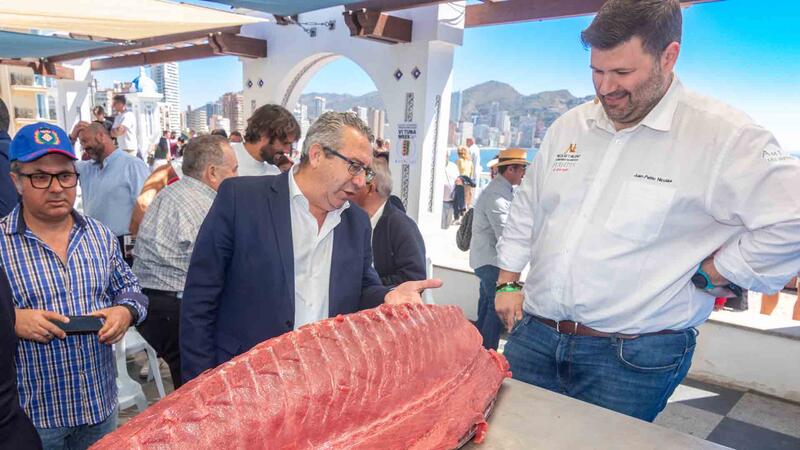 Benidorm presenta la VI edició de les ‘Jornades de la Tonyina’ amb el ronqueig d