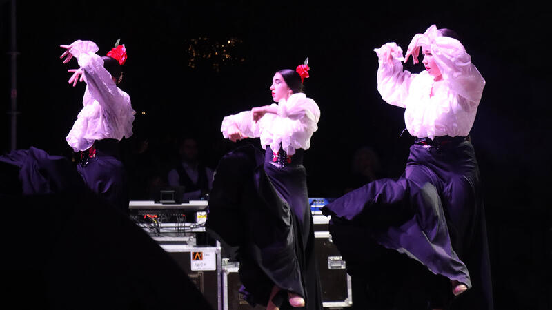 ‘Benidorm en dansa’ congrega a casi un millar de personas para disfrutar del talento de la danza local