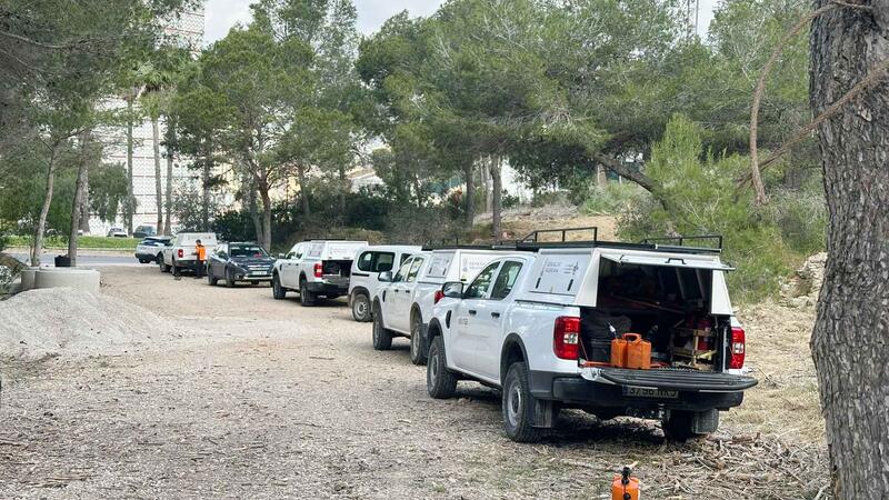  Generalitat extends the removal of dead pine trees in the Serra Gelada Natural Park to the municipality of Benidorm