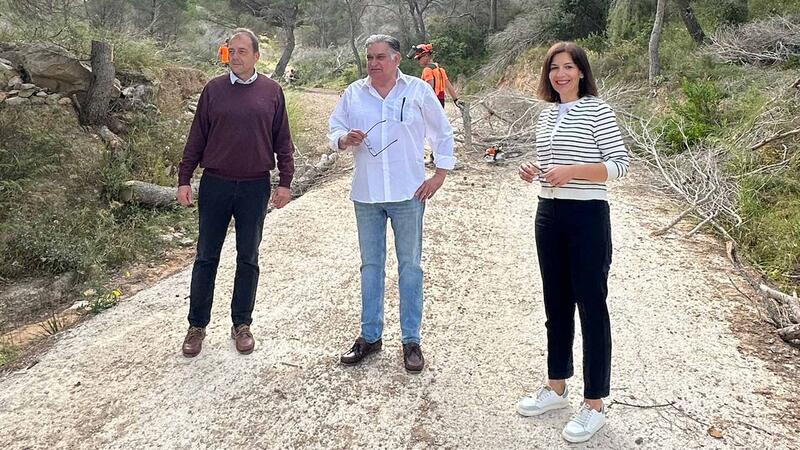 Generalitat extends the removal of dead pine trees in the Serra Gelada Natural Park to the municipality of Benidorm