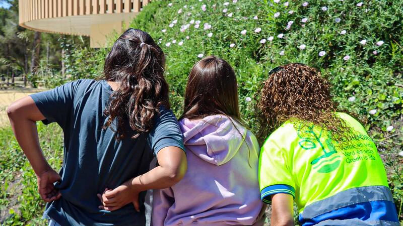 Más de 600 escolares de Benidorm amplían sus conocimientos sobre la naturaleza en los parques de Foietes y de la Séquia Mare