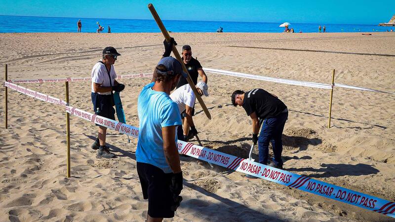 Benidorm realitza un simulacre per a posar en pràctica el protocol enfront d