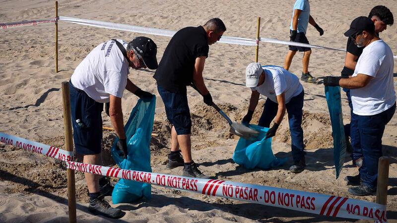 Benidorm realitza un simulacre per a posar en pràctica el protocol enfront d