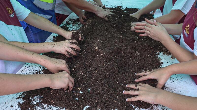 La Benidorm Green Week entra en la seua recta final amb activitats de divulgació de la diversitat en tres parcs municipals