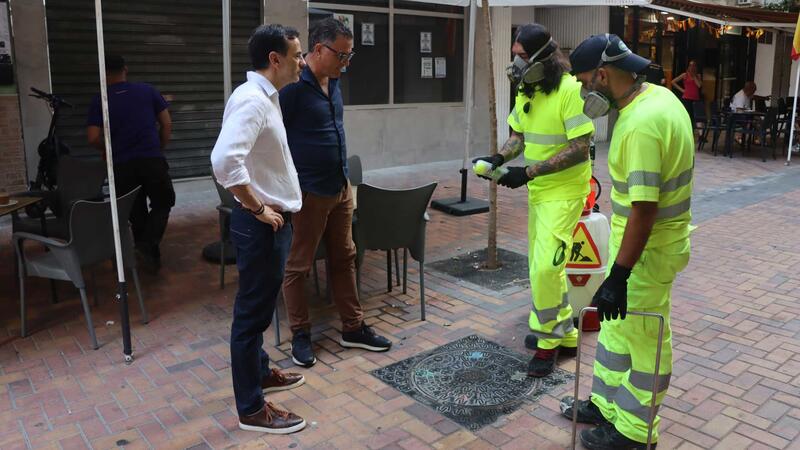 Benidorm intensifica los tratamientos de desinsectación en las redes de alcantarillado y aguas pluviales