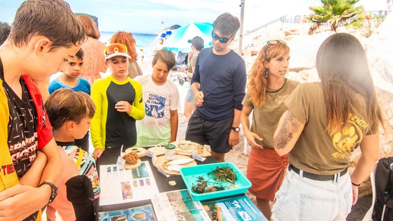 Sirenes i tritons consciencien a la platja del Mal Pas sobre el valor mediambiental de la posidònia