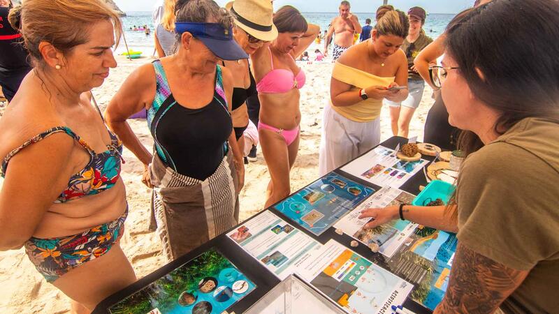 Sirenes i tritons consciencien a la platja del Mal Pas sobre el valor mediambiental de la posidònia
