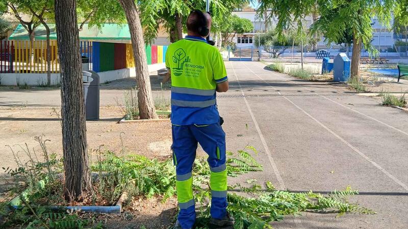 Benidorm realiza mejoras en la jardinería de 13 colegios antes del inicio del curso escolar 