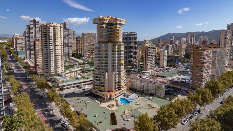 Benidorm invertirá 100.000 euros en plantar 400 árboles en el último trimestre para crear más zonas de sombra y paliar el efecto ‘isla de calor’