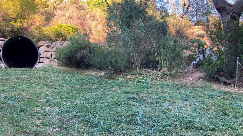 Benidorm culmina estos días la limpieza del tramo urbano de los barrancos ante la previsible llegada de lluvias torrenciales en otoño
