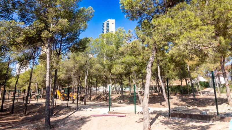 Benidorm votará este viernes en pleno adjudicar el contrato del albergue juvenil y zona de acampada de la Séquia Mare 