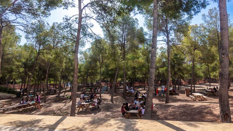 Juventud organiza una actividad con alumnado de Secundaria en las nuevas instalaciones del Parc Séquia Mare