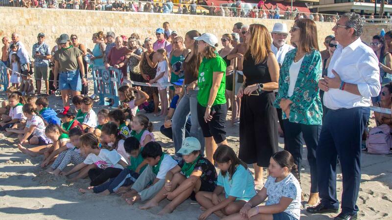 Vuelven al mar siete tortugas bobas nacidas en Benidorm el pasado verano