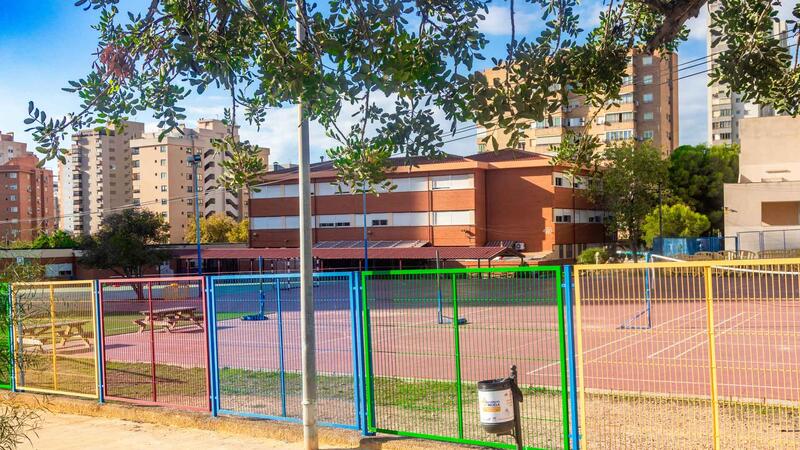 Benidorm planta un centenar de árboles en los patios de tres colegios para ampliar las zonas de sombra y mejorar el confort