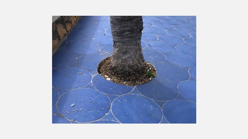 Ciudadanos pide que se arreglen los desperfectos del pavimento del Paseo de Poniente y parque de Elche