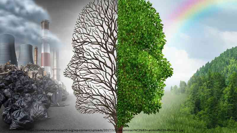 10. Contaminación Atmosférica