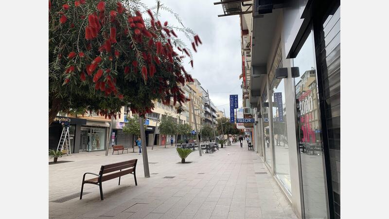 Calle Gambo