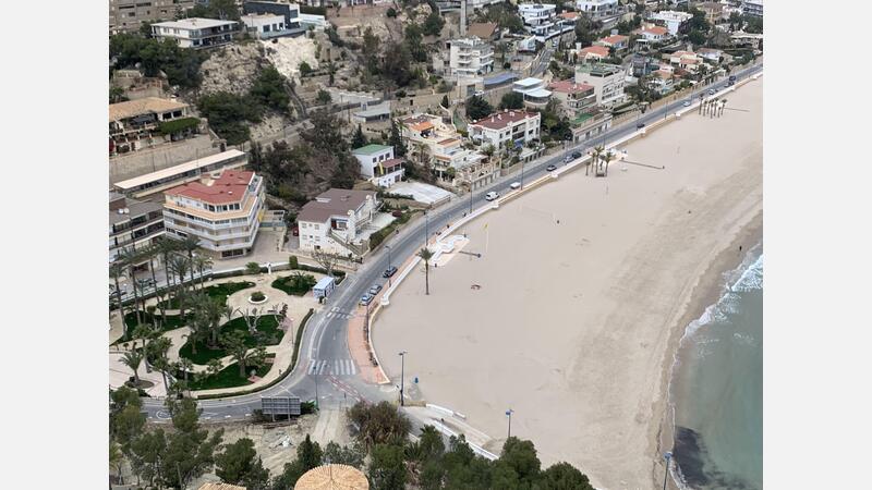 Parque Tamarindos desde la Ermita del Tossal