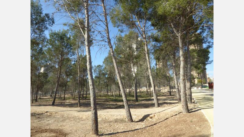 Parque de la "Sèquia Mare"
