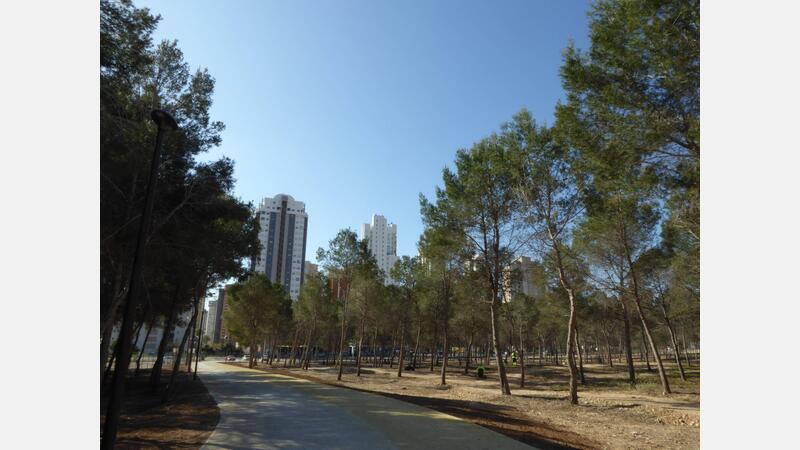 Parque de la "Sèquia Mare"