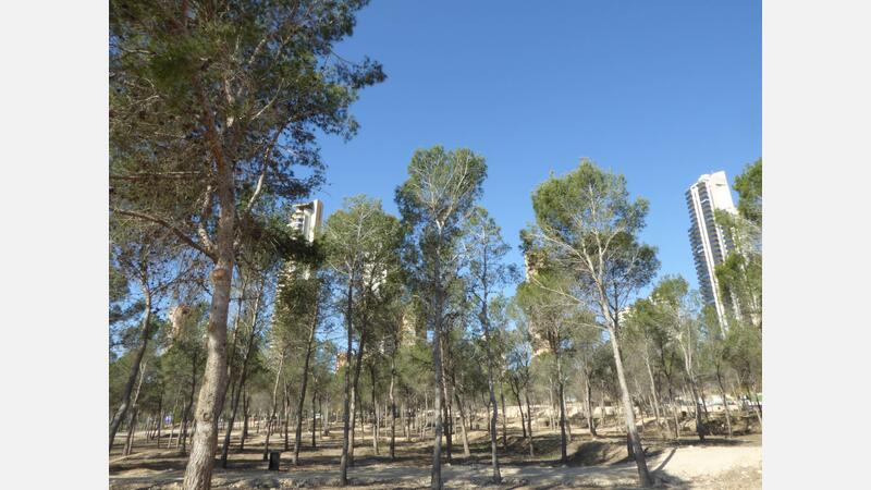 Parque de la "Sèquia Mare"