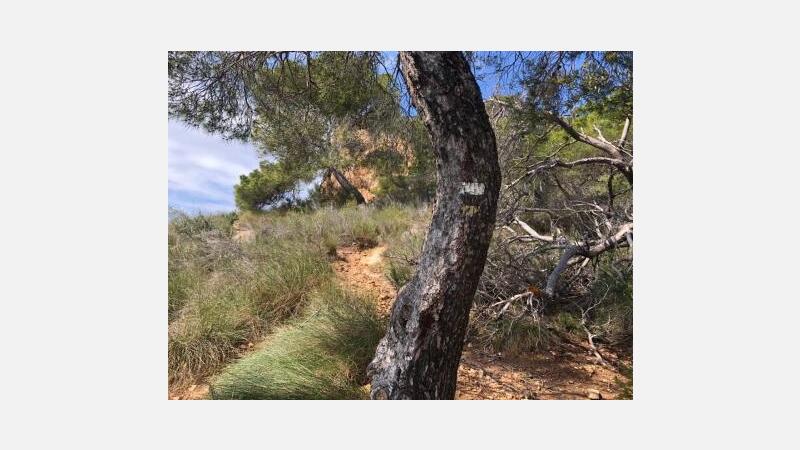 Ciudadanos reclama mejoras urgentes en la defectuosa señalización de senderos del parque natural de Serra Gelada