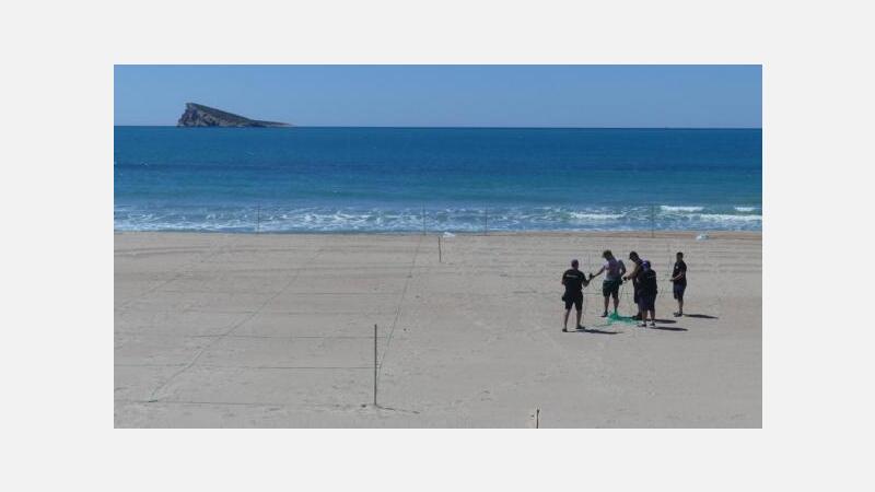 Benidorm abre el lunes sus playas con un Plan que garantiza la seguridad y el disfrute y acceso de todos los usuarios