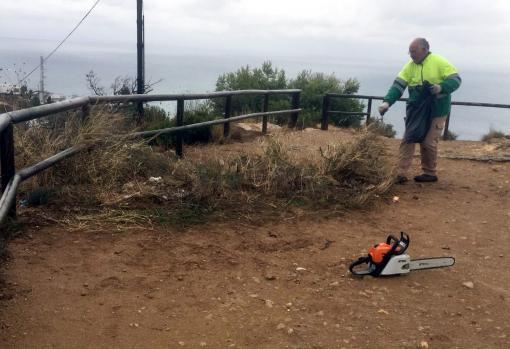 Benidorm neteja i esbrossa prop de 12.000 metres quadrats a Serra Gelada...