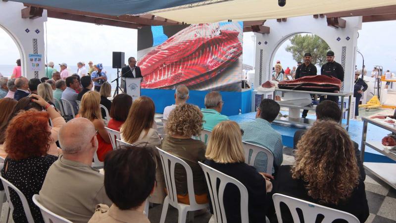 El ronqueo de un ejemplar de 170 kilos prologa las terceras Jornadas del Atún rojo de Benidorm Ronqueo del atún