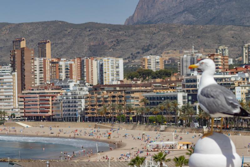 Benidorm aprueba el pago de más de un millón de euros de ayudas a hoteles que participaron del Imserso en 2022