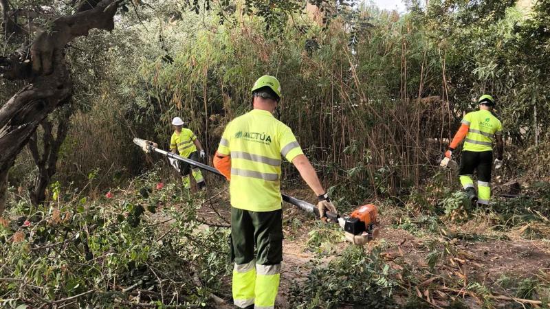 Benidorm actúa sobre una parcela forestal en el Murtal para proteger la zona ante posibles incendios Benidorm actúa sobre una parcela forestal en el Murtal para proteger la zona ante posibles incendios