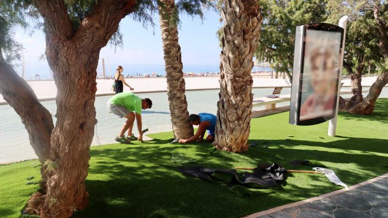 Benidorm avanza en la mejora paisajística del Paseo de Poniente con la instalación de islas de césped artificial y más de 3.000 nuevas plantas