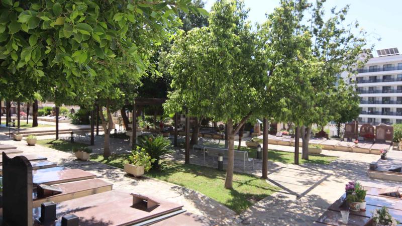 Benidorm mejora la ornamentación de cementerios y jardineras con la colocación de más de 12.000 plantas 