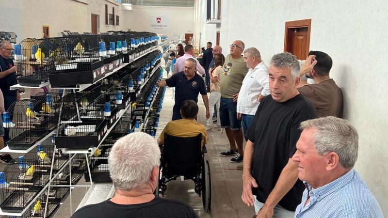 El XXIV Campeonato de Ornitología ‘Villa de Benidorm’ se cierra con más de 800 aves inscritas  El XXIV Campeonato de Ornitología ‘Villa de Benidorm’ se cierra con más de 800 aves inscritas