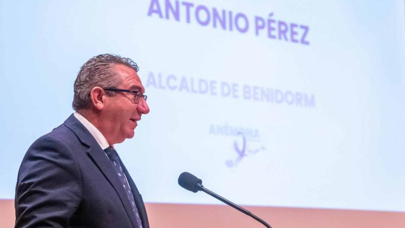 Toni Pérez durante su intervención en el II Congreso de Anémona.
