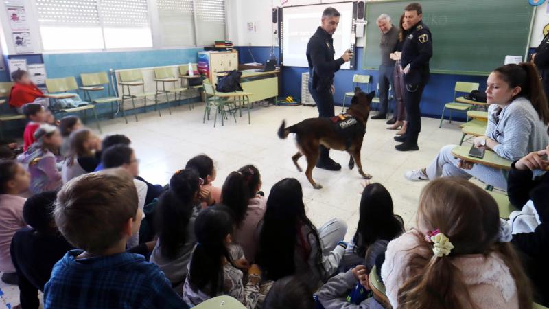 La Unidad Canina de la Policía Local acerca su trabajo a los escolares de Benidorm