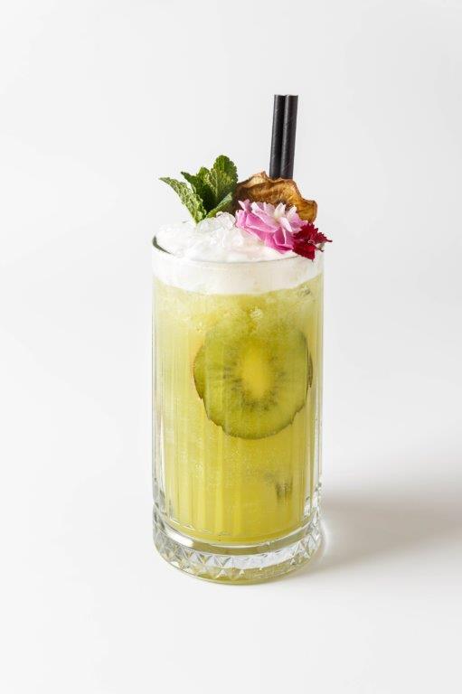 V JORNADAS COCKTAILS